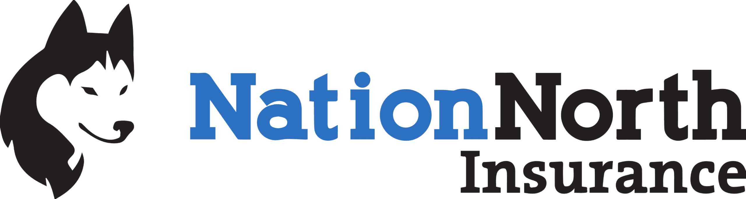 Nation North Company Logo