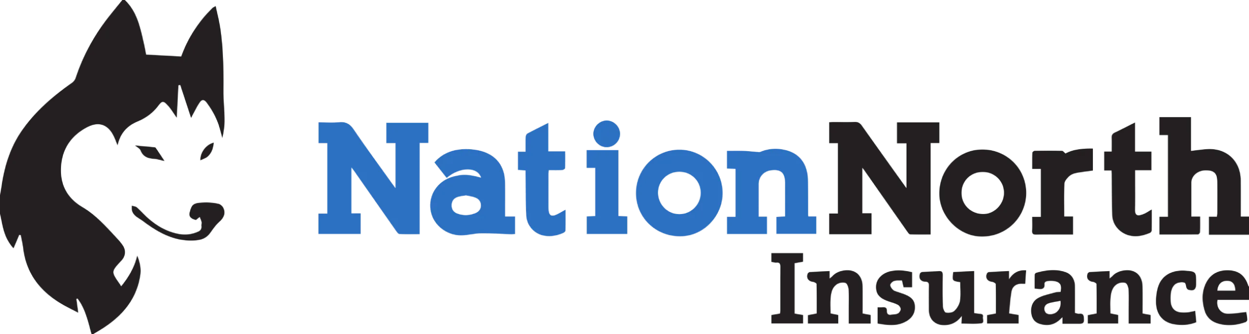 Nation North Company Logo
